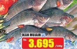 Promo Harga Ikan Mujair per 100 gr - Hari Hari