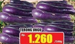 Promo Harga Terong Ungu per 100 gr - Hari Hari