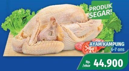 Promo Harga Ayam Kampung 600 gr - Lotte Grosir