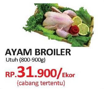 Promo Harga Ayam Broiler  - Yogya