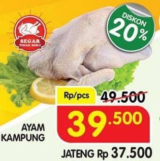 Promo Harga Ayam Kampung  - Superindo