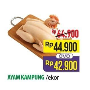 Promo Harga Ayam Kampung 500 gr - Hypermart