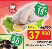 Promo Harga Ayam Kampung  - Superindo