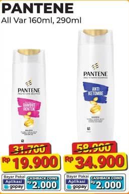 Pantene Shampoo