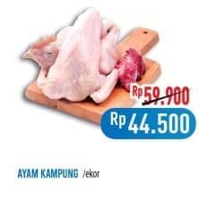 Promo Harga Ayam Kampung 500 gr - Hypermart