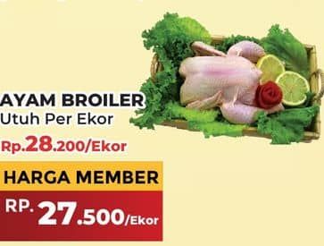 Promo Harga Ayam Broiler 900 gr - Yogya