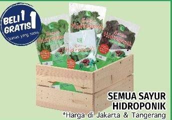 Promo Harga Sayur Hidroponik  - LotteMart