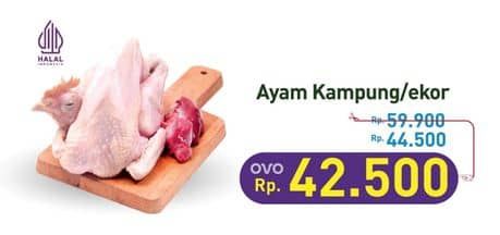 Ayam Kampung