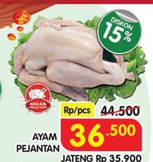 Promo Harga Ayam Pejantan 500 gr - Superindo