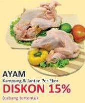 Promo Harga Ayam Kampung & Ayam Pejantan  - Yogya