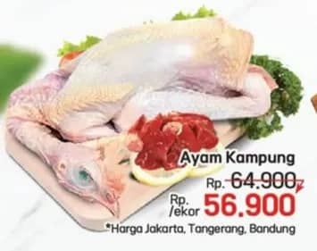 Promo Harga Ayam Kampung 1000 gr - LotteMart