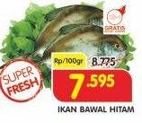 Promo Harga Ikan Bawal Hitam per 100 gr - Superindo