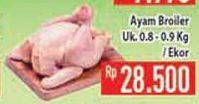 Promo Harga Ayam Broiler  - Hypermart