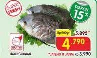 Promo Harga Ikan Gurame per 100 gr - Superindo