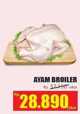 Promo Harga Ayam Broiler  - Hari Hari