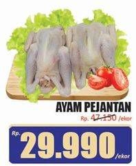 Promo Harga Ayam Pejantan 700 gr - Hari Hari