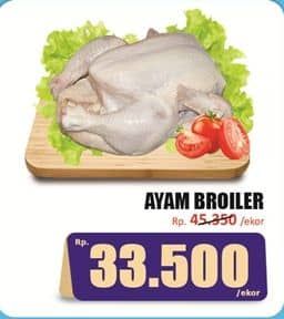 Promo Harga Ayam Broiler 500 gr - Hari Hari