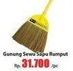 Promo Harga CLEAN MATIC Grass Broom  - Hari Hari