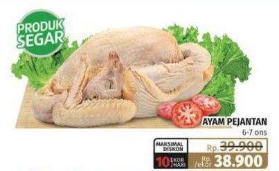 Promo Harga Ayam Pejantan 6-7ons  - Lotte Grosir