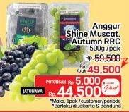 Promo Harga Anggur Shine Muscat/Autumn RRC  - LotteMart