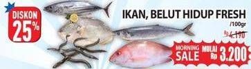 Promo Harga Ikan Belut Hidup  - Hypermart