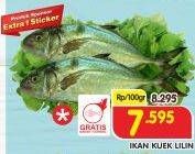 Promo Harga Ikan Kuek Lilin per 100 gr - Superindo