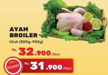 Promo Harga Ayam Broiler 800 gr - Yogya