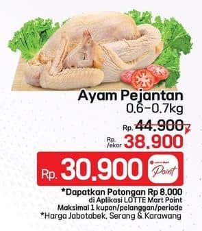 Promo Harga Ayam Pejantan 600 gr - Lotte Grosir