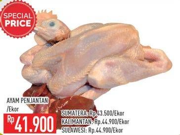 Promo Harga Ayam Pejantan  - Hypermart