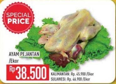 Promo Harga Ayam Pejantan  - Hypermart