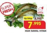 Promo Harga Ikan Bawal Hitam per 100 gr - Superindo