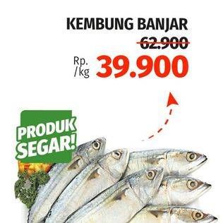 Promo Harga Ikan Kembung Banjar  - Lotte Grosir