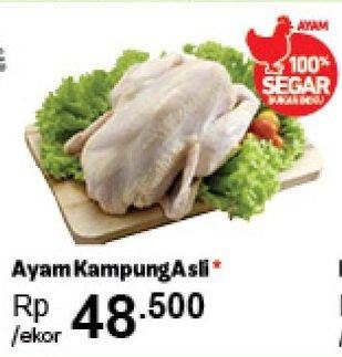 Promo Harga Ayam Kampung Asli  - Carrefour