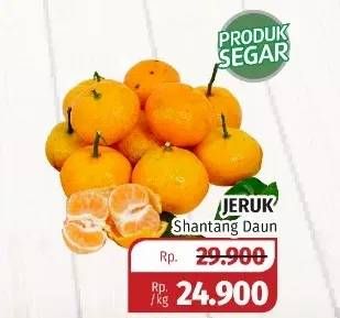 Promo Harga Jeruk Shantang Daun per 1000 gr - Lotte Grosir