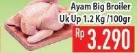 Promo Harga Ayam Broiler per 100 gr - Hypermart