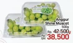 Promo Harga Anggur Shine Muscat 500 gr - LotteMart