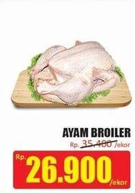 Promo Harga Ayam Broiler  - Hari Hari