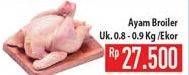 Promo Harga Ayam Broiler  - Hypermart