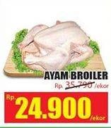 Promo Harga Ayam Broiler  - Hari Hari