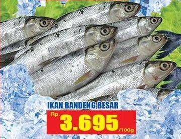 Promo Harga Ikan Bandeng Besar per 100 gr - Hari Hari