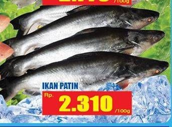 Promo Harga Ikan Patin per 100 gr - Hari Hari