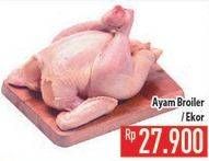 Promo Harga Ayam Broiler  - Hypermart