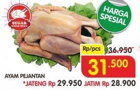Promo Harga Ayam Pejantan  - Superindo