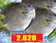 Promo Harga Ikan Kipas per 100 gr - Hari Hari