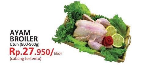 Promo Harga Ayam Broiler  - Yogya