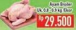 Promo Harga Ayam Broiler  - Hypermart