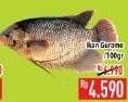 Promo Harga Ikan Gurame per 100 gr - Hypermart