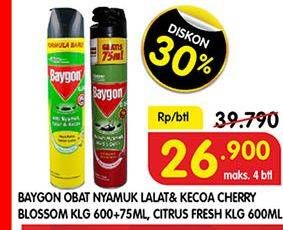 BAYGON Insektisida Spray 675ml/600ml