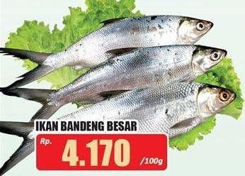 Promo Harga Ikan Bandeng Besar per 100 gr - Hari Hari