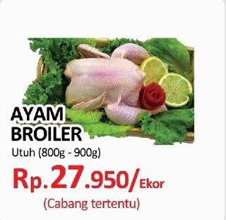 Promo Harga Ayam Broiler  - Yogya